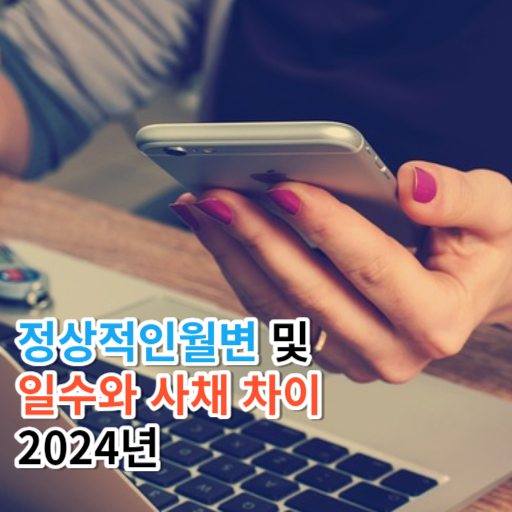 정상적인월변 및  일수와 사채 차이  2024년