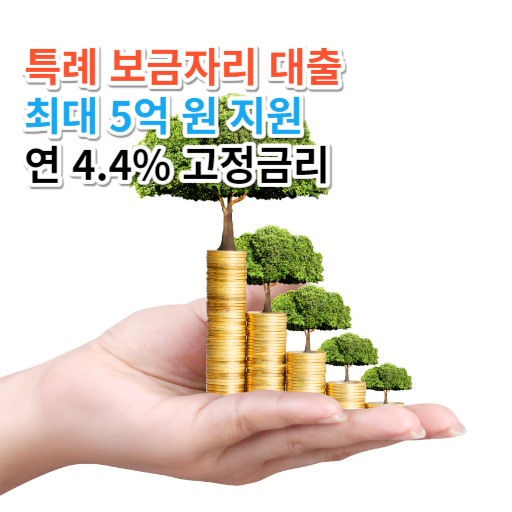 특례 보금자리 대출  최대 5억 원 지원  연 4.4% 고정금리