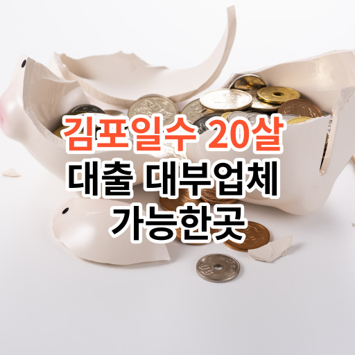 김포일수 20살  대출 대부업체  가능한곳