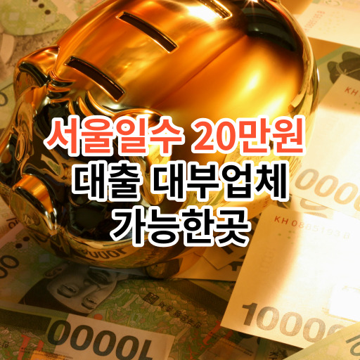 서울일수 20만원  대출 대부업체 가능한곳